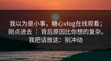 我以为是小事，糖心vlog在线观看；刚点进去 ｜ 背后原因比你想的复杂。我把话放这：别冲动