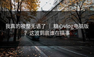 我真的被整无语了 ｜ 糖心vlog电脑版？这波到底谁在搞事